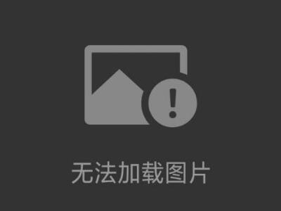 電加熱管2000w/350mm